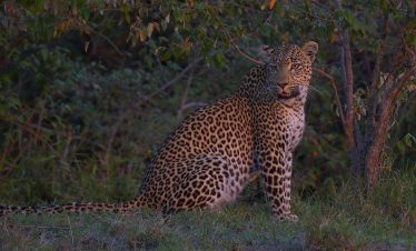 5-Day Kruger Park & Private Game Reserve Experience (Pbh)