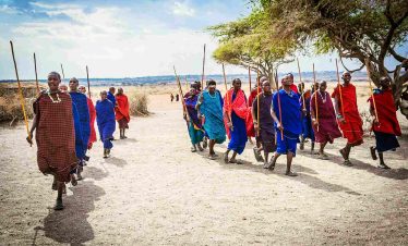 1-Day Ngorongoro Crater Adventure