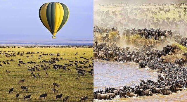½-Day Hot Air Balloon Maasai Mara Early Morning Safari