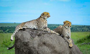 1-Day Dar Es Salaam to Mikumi by Train and Car