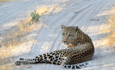 5-Day Botswana Kd 4 Nights Luxury Package