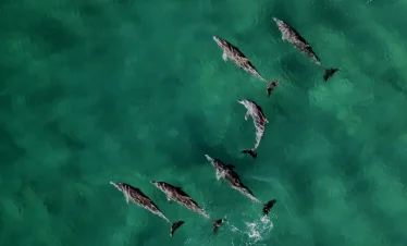 7-Day Unforgettable Immersion in South Africa