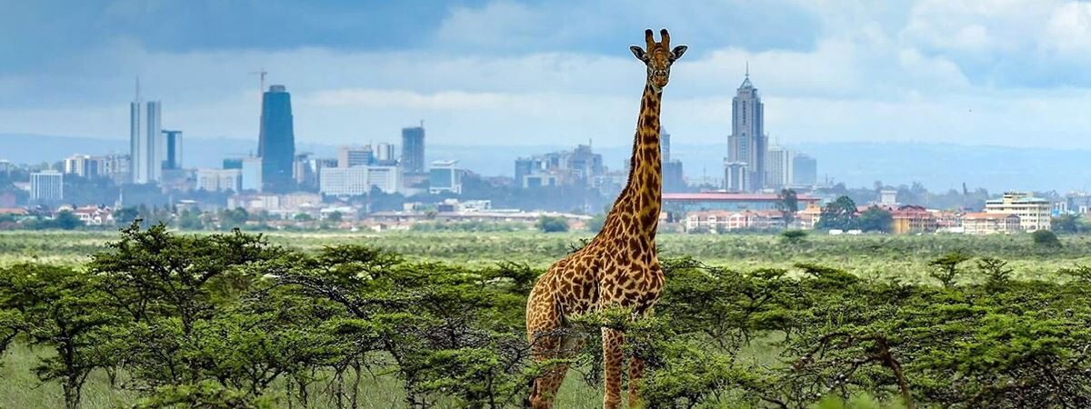 nairobi private excussion