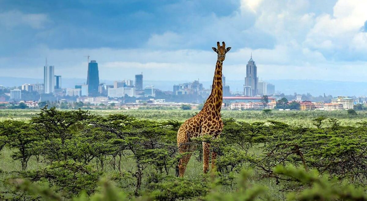nairobi private excussion