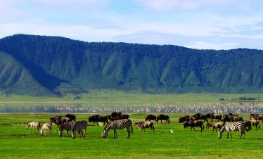 1-Day Special Package Ngorongoro Crater Tour