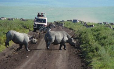 1-Day Trip to Ngorongoro Crater