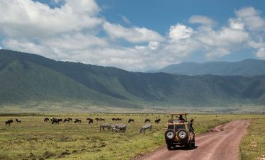1-Day Best Ngorongoro Crater Special Big 5 Tanzania