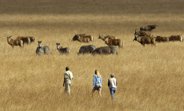 12-Day Northern Malawi Self Drive Lodge Based