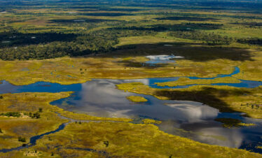 5-Day Popular Botswana Safari Through the Delta