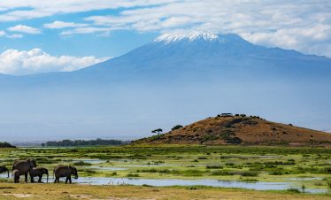 2-Day Amboseli National Park Private Safari