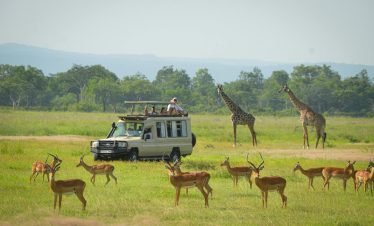 1-Day Safari to Mikumi by (Sgr)Train from Dar Es Salaam