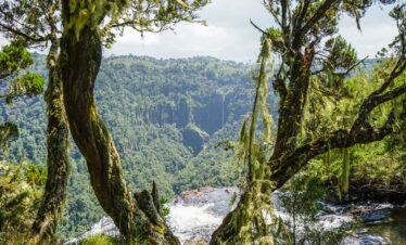 1-Day Aberdares Waterfalls Tour Edition