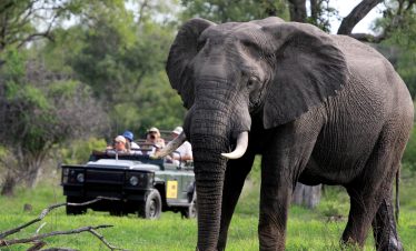 4-Day 3Night Greater Kruger Safari in Private Game Lodge