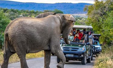 4-Day Hluhluwe-Imfolozi Big 5 & St Lucia Wetland