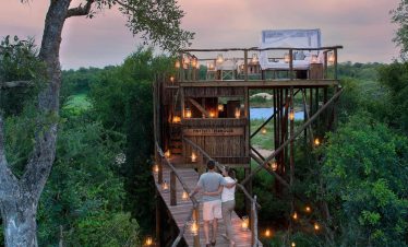 4-Day Kruger Park Treehouse Safari