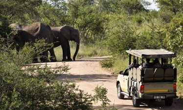 4-Day Panorama Mid-Range Kruger Safari