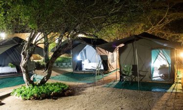 4-Day Tented Camp Kruger Safari