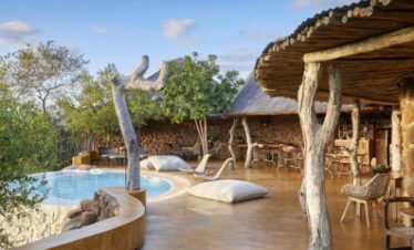 4-Day Timbavati Safari Short and Sweet