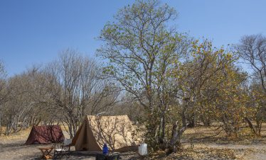 6-Day Chobe NP, Savuti & Moremi Game Reserve Explorers