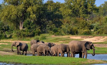 5-Day Classic Chalet Safari