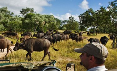 5-Day Ultimate Luxury Safari Kruger, South Africa