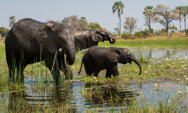 4-Day Kruger and Panorama Lux Safari at Budget Price