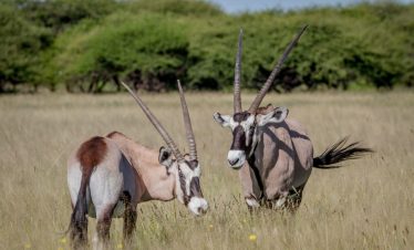 7-Day Desert to Delta Expedition