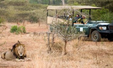 5-Day Essential Kruger Safari – Fully Inclusive