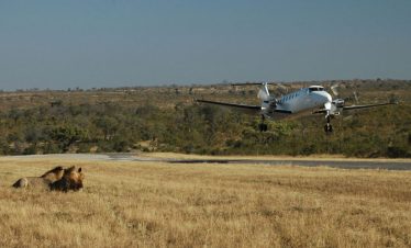 4-Day Fly-in Ultra Luxury Madikwe Safari