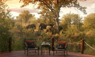 5-Day Hoyo Hoyo Lodge & Sabi Sands Umkumbe Lodge Safari