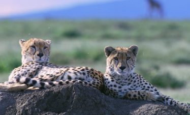4-Day Journey into the Heart of Africa