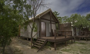 4-Day Kruger Budget Sekekama Tented Camp Safari