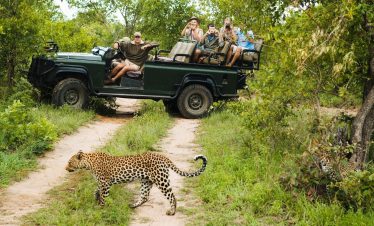 5-Day Kruger NP Deluxe Safari Incl Panorama Route