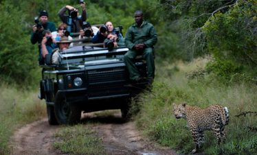 4-Day Kruger National Park Safari at Makuwa Safari Lodge