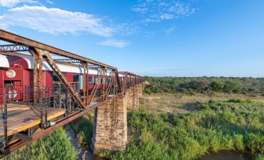 4-Day Kruger National Park Train on the Bridge Safari