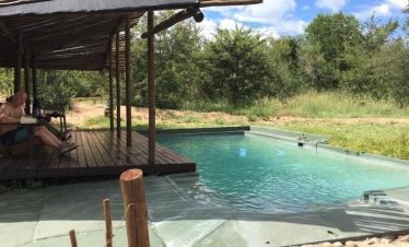 5-Day Kruger Park and Manyeleti Reserve Bongan Lodge