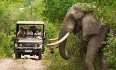 5-Day Luxury Kruger Park and Sabi Sand Safari
