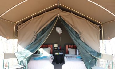 5-Day Kruger Sabi Sands, Tented Safari South Africa