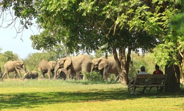 4-Day Kruger Safari in Klaserie Reserve, South Africa