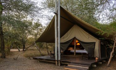5-Day Kruger Tented & Greater Kruger Lodge Combo Safari