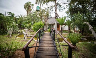 4-Day Kruger Tremisana Lodge Safari