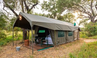 5-Day Kruger Untamed Tshokwane River Camp Fly in Safari
