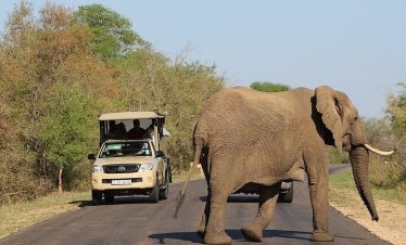 4-Day Kruger and Panorama Tour