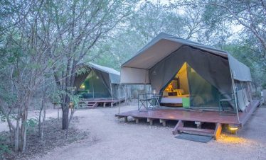 4-Day Kruger and Sabi Sand Rustic Tented Camp