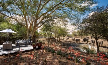 5-Day Luxury Greater Kruger Safari Adventure