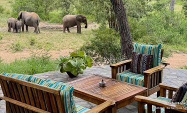 4-Day Luxury Greater Kruger to Canyon Safari Adventure