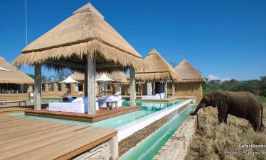 4-Day Luxury Lodge Safari in the Greater Kruger