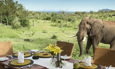 5-Day Luxury Madikwe Hills Game Lodge Safari