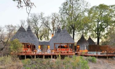 4-Day Luxury Safari at Hoyo Hoyo Safari Lodge