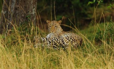 3-Day Enkorok Mara Camp Daily Group Tour